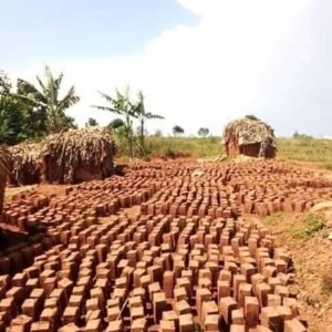 WhatsApp Image 2025-08-06 at 5.02.21 AM